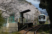 静かな駅