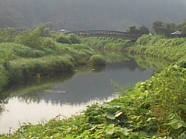 川の奥に見える木製の橋