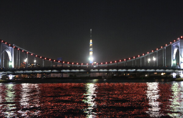 清洲橋と東京スカイツリー