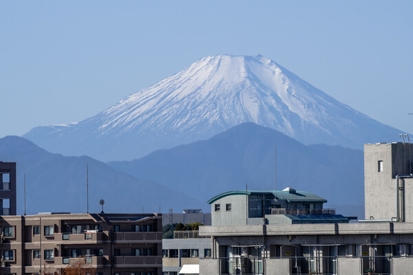 新春の富士山