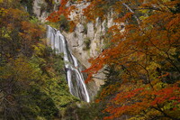 紅葉に囲まれた滝