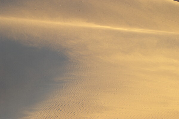 Wind of Dunes #4