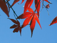 秋【空】のコントラスト