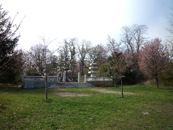 さくら＆公園