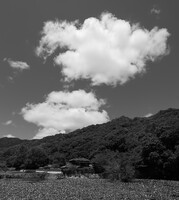 里の夏