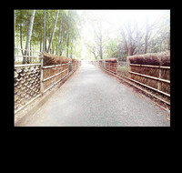 竹垣の道