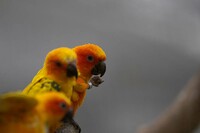 「おおっ、もうこんな時間か・・・」