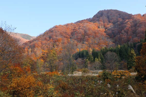 橙色に燃える山