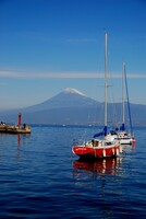 癒しの海　富士山とヨット