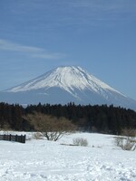 朝霧高原富士山