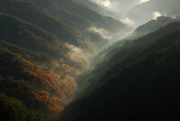 奈良・野迫川村（2）