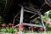 お彼岸は過ぎたけど。。。