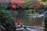 小石川後楽園、秋模様