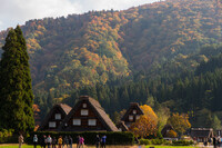 晩秋の白川郷Ⅰ