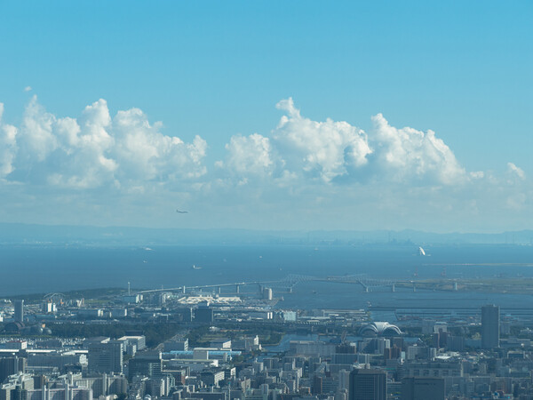 TOKYO BAY～雲になりたい～