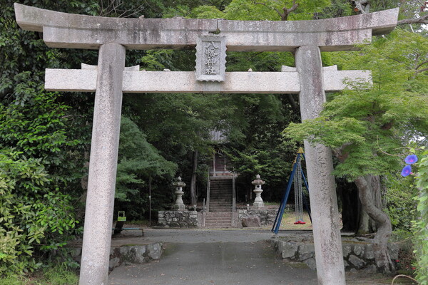 そう言えば