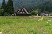 楽園Ⅱ