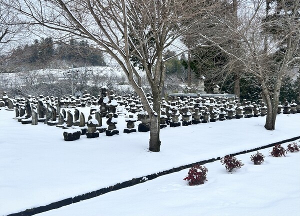 雪景色２