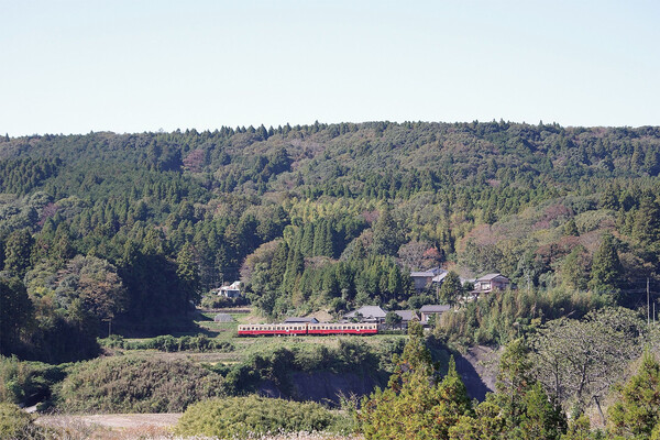 秋の小湊鉄道(2)