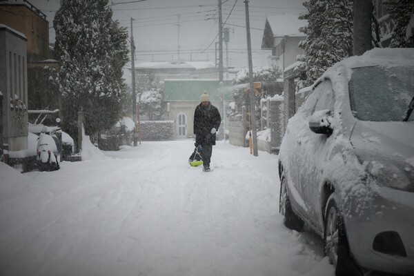 東京も吹雪