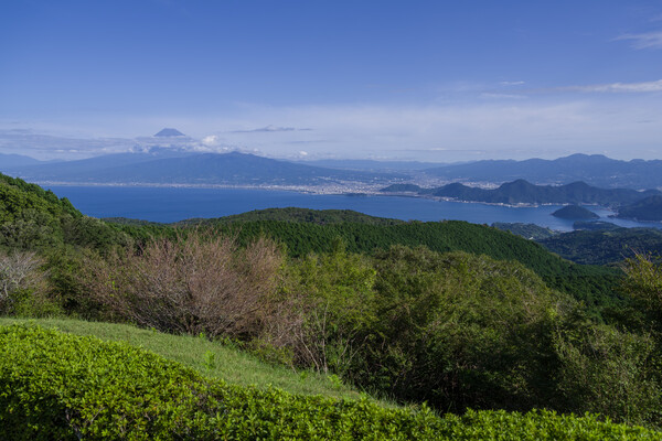 達磨山からの景色
