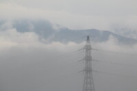 【雲】雲海の電気イカ