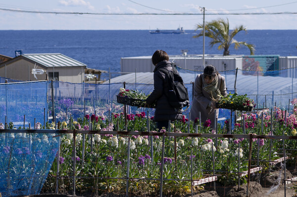 船と潮風と花摘み