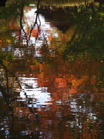 水面に映る秋の彩(いろ)