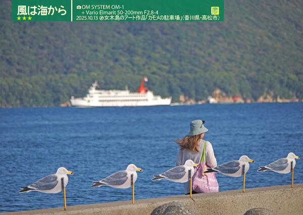 風は海から２