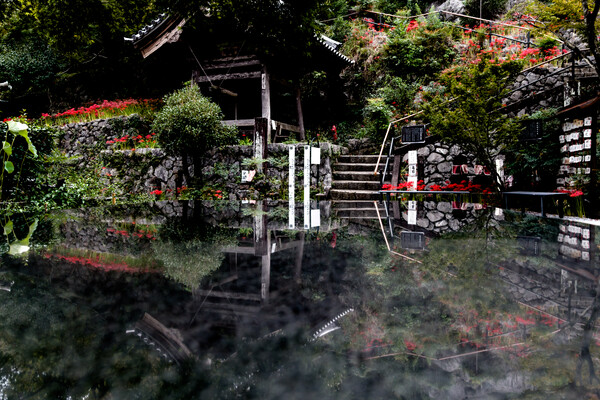 夢幻城