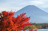 富士山と一緒に・・・