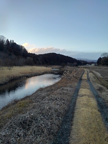 川沿いの道（1/15に撮影）