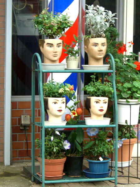 理髪店前のユニークな鉢植
