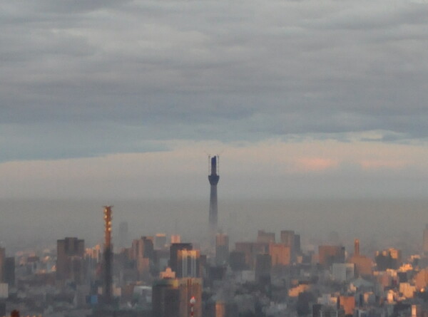 靄の上に顔を出す東京スカイツリー