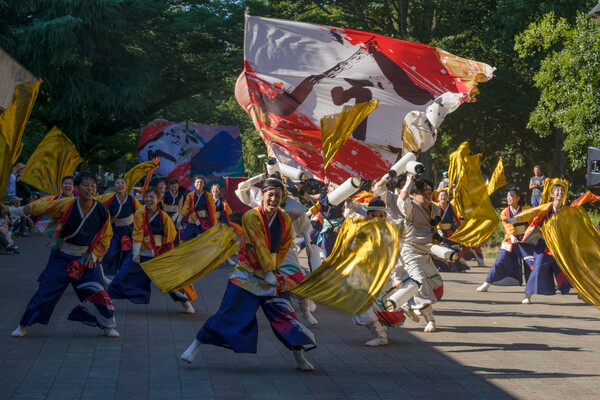 YOSAKOIラスト