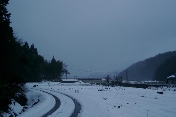 今朝の9号長谷橋