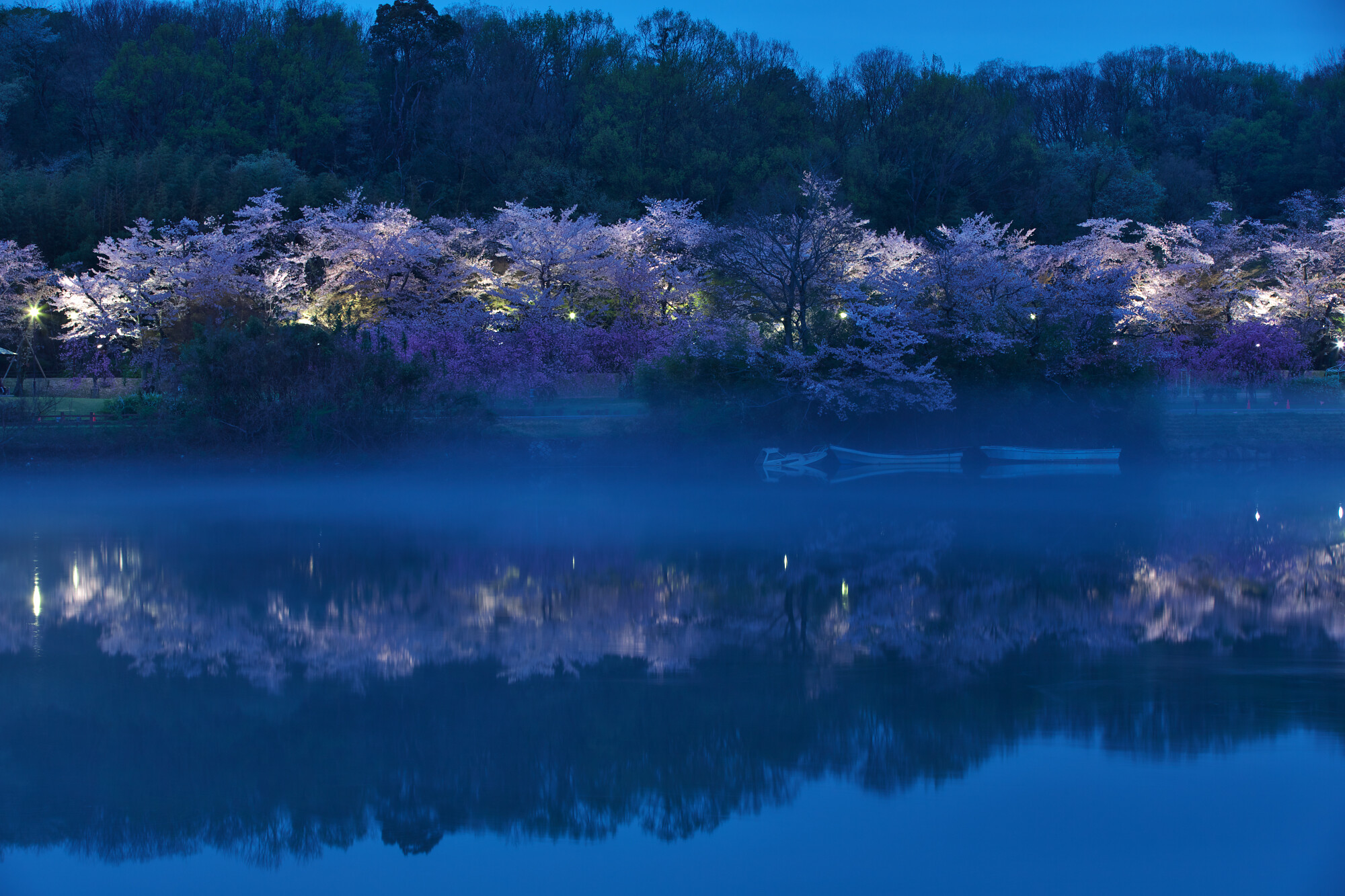 水景