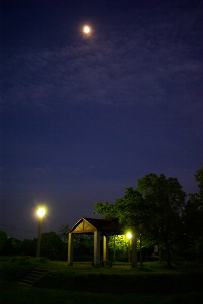 月宵の公園