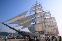 日本丸 in　帆船フェスタ2015 広島