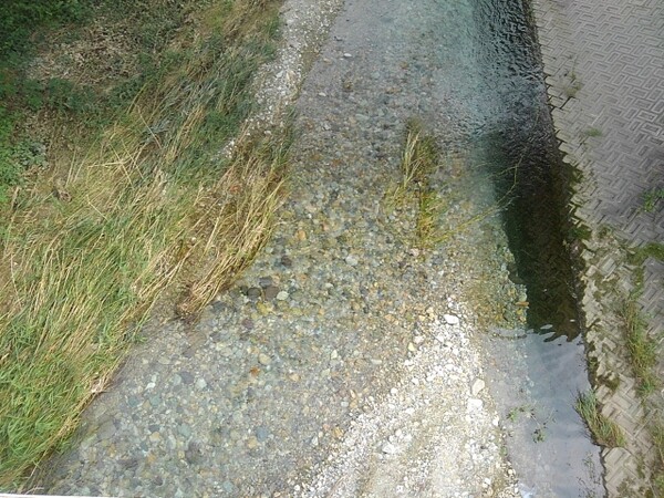 橋の上から見えた川の水面