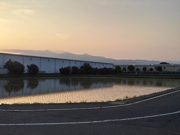 映り込みが綺麗な夕方の水田
