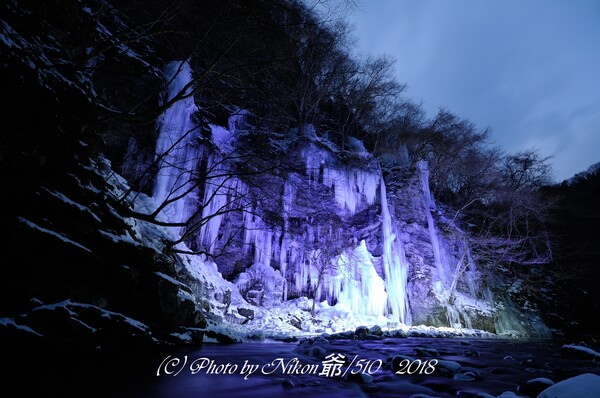 ニコン D2X 作例 - PhotoXP