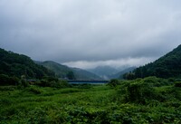 今日も梅雨空・・。