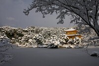 雪の鹿苑寺