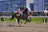 川崎競馬場