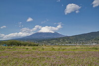富士市中里の富士景Ⅱ