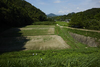 暑かった夏も終わりに・・