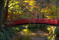 紅葉の太鼓橋