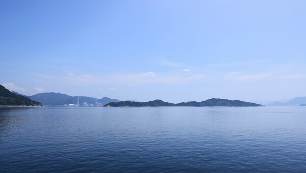 スナメリの遊ぶ海