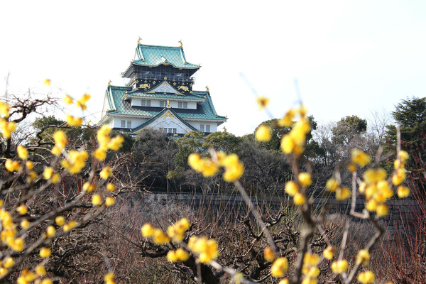 大阪城を撮って